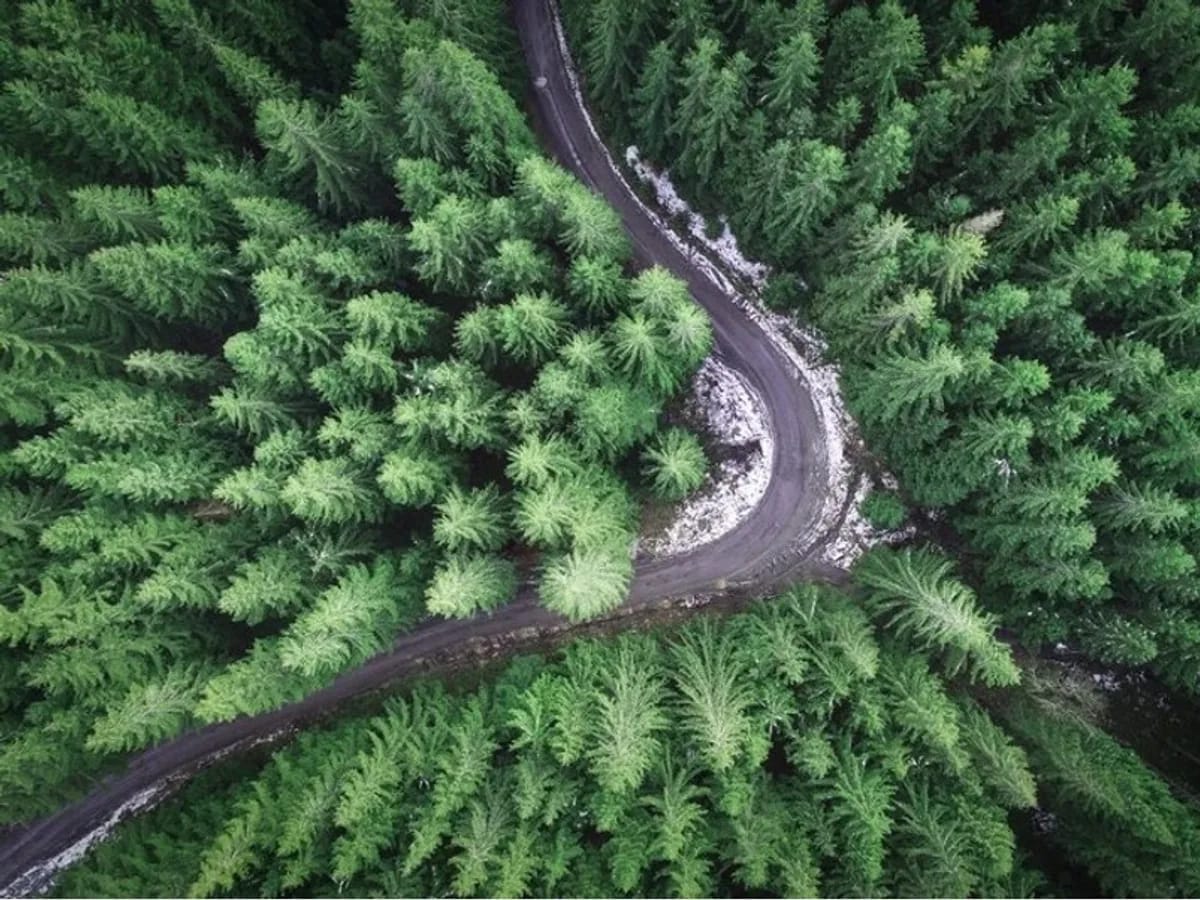 Aerial road and venue context captured by drone